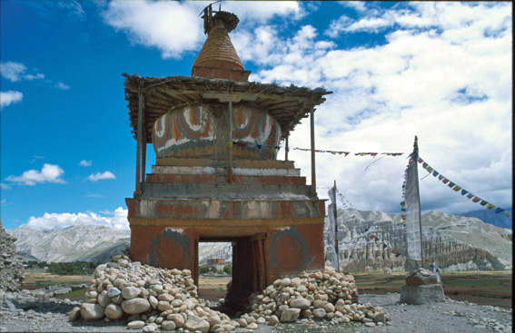 Serie 11: >>MUSTANG<< - det forbudte kongerige 