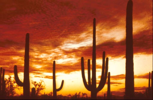 Serie 2: USA 88 del 1 + 2 + 3